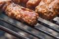 Minced meat rolls on grill (traditional Romanian food) Ã¢â¬â mititei, mici Royalty Free Stock Photo